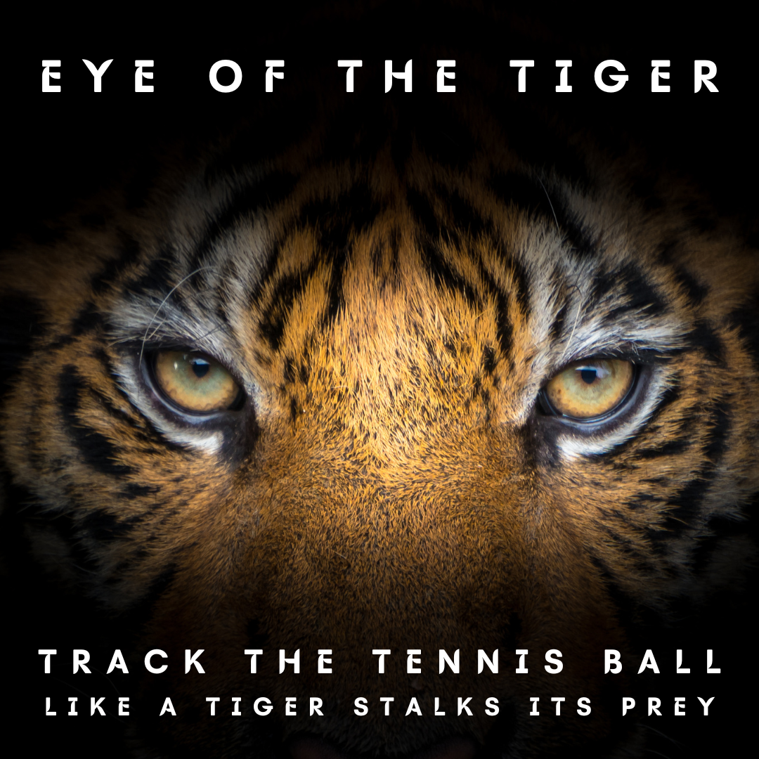 Eye of the Tiger